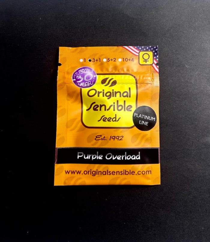 Purple Overload > Original Sensible Seeds | Feminized Cannabis   |  Indica